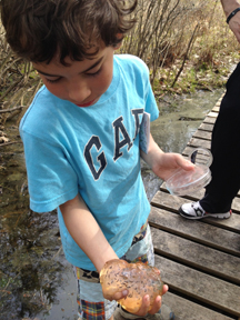 a child holding a mushroom