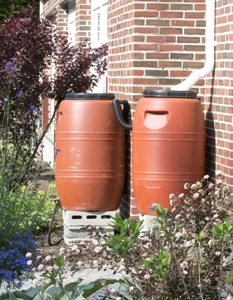 2 rain barrels