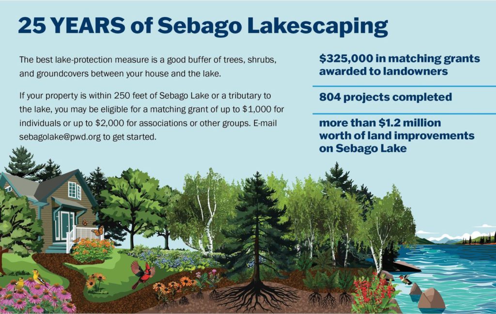 graphic showing 25 years of sebago lakescaping