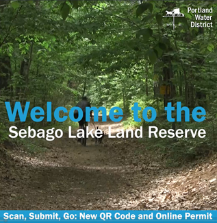 sebago lake land reserve